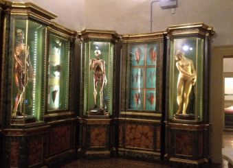 Музей дворца Поджи, Болонья