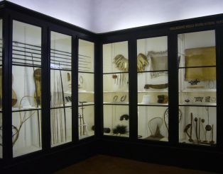 Городской музей археологии и этнологии, Модена