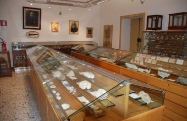 Museum of Geology and Paleontology 