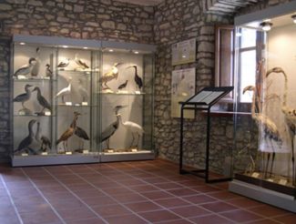 Ornithological Museum of Sardinia, Siddi
