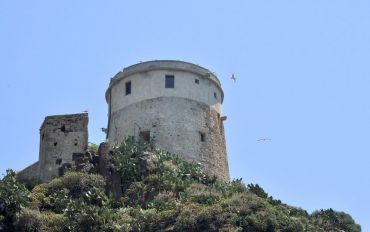Coltellazzo Tower, Pula