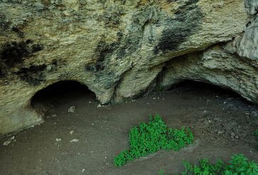 Cave Filiestru, Mara