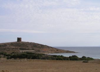 Trabuccato Tower, Asinara Island