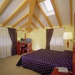  Twin/Double Room 