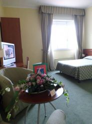 Superior Double or Twin Room with Lake View