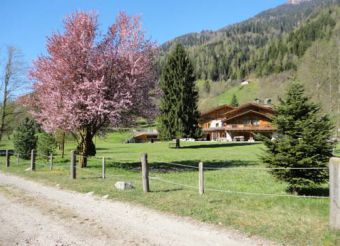 Chalet Alpino - Maso del Brenta