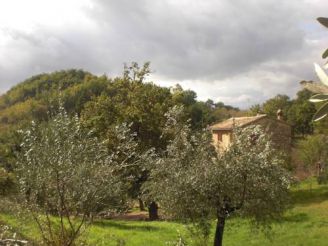 B&B Il Sentiero nel Bosco