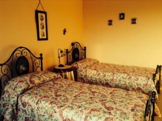 Двухместный номер с 1 кроватью или 2 отдельными кроватями, вид на сад