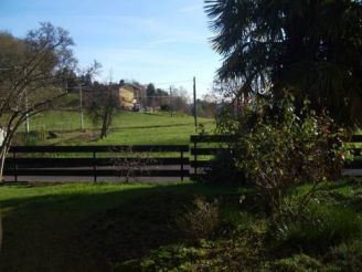 Single Room with Garden View