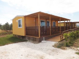 Mobile Home