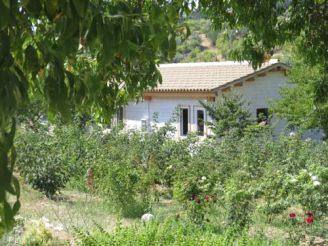 Two-Bedroom Bungalow