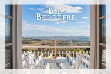 B&B Belvedere
